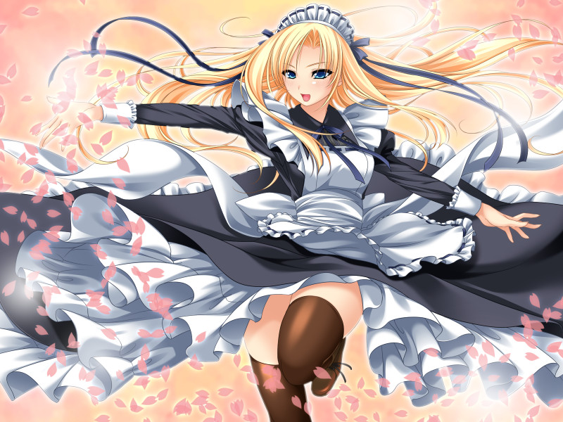 후와리 콤플렉스