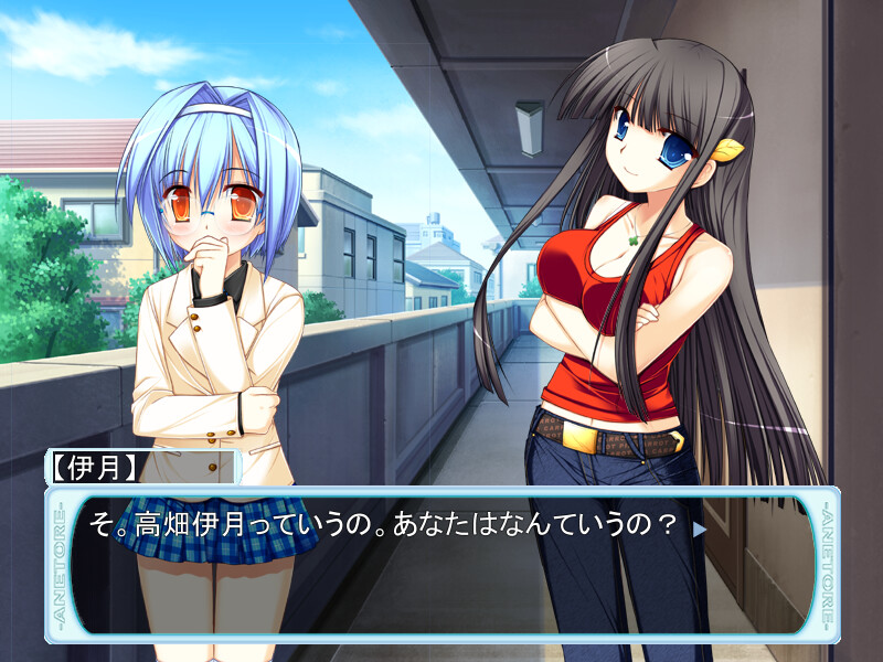 아네토레! ～누나와 H한 트레이닝～