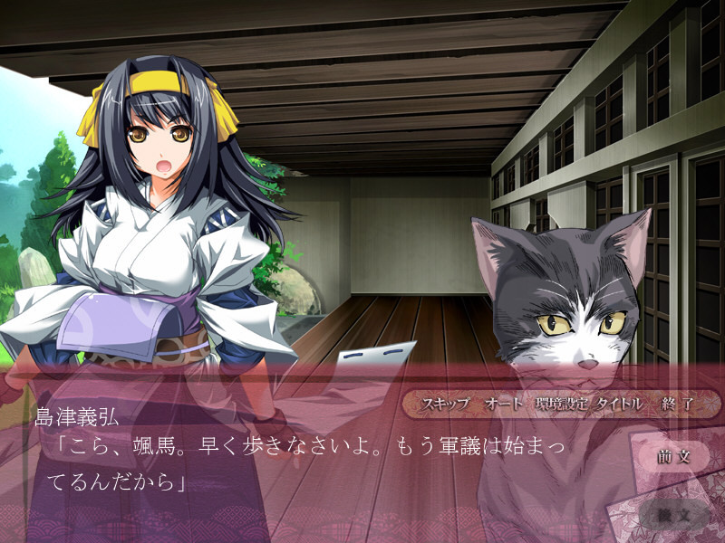 센고쿠히메 ~전란의 세상에 불꽃이 일다~