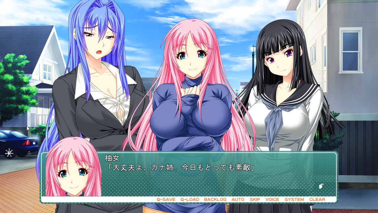 가슴 말고는 전부 너무 안 되는 누나