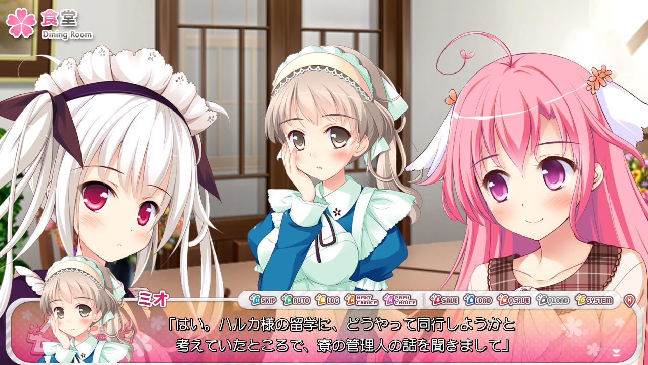 하루카제 센세이션!