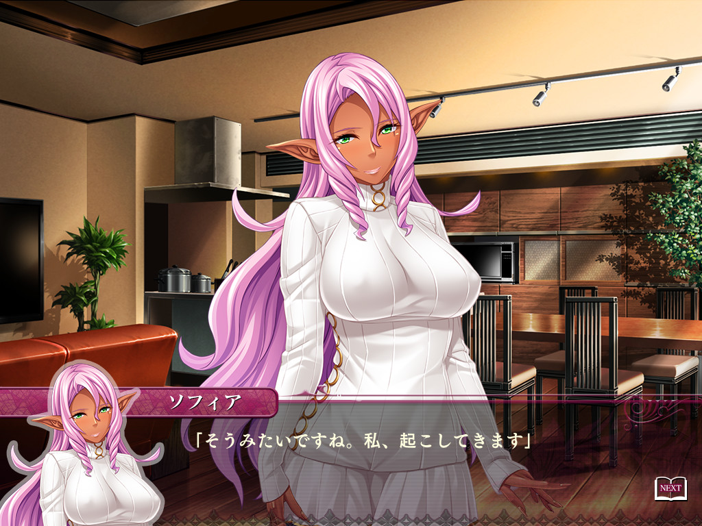 보쿠의 엘프 누나