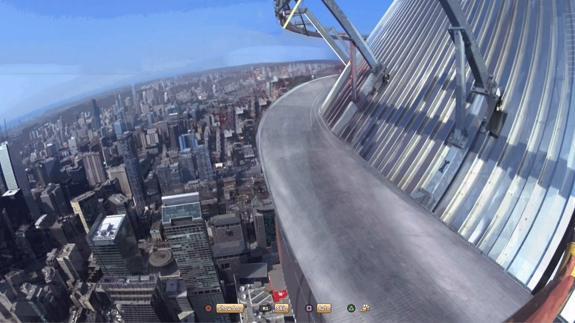 A Summer with the Shiba Inu