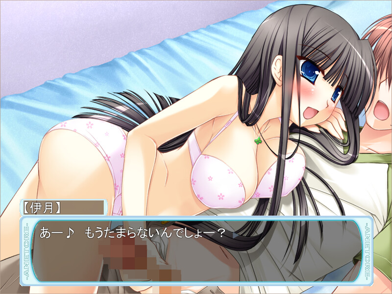 아네토레! ～누나와 H한 트레이닝～