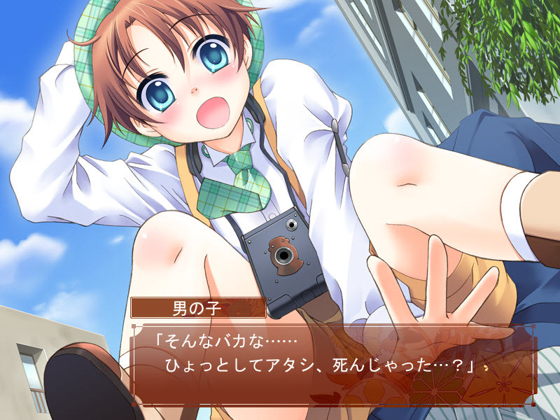 코이부미 로맨티카