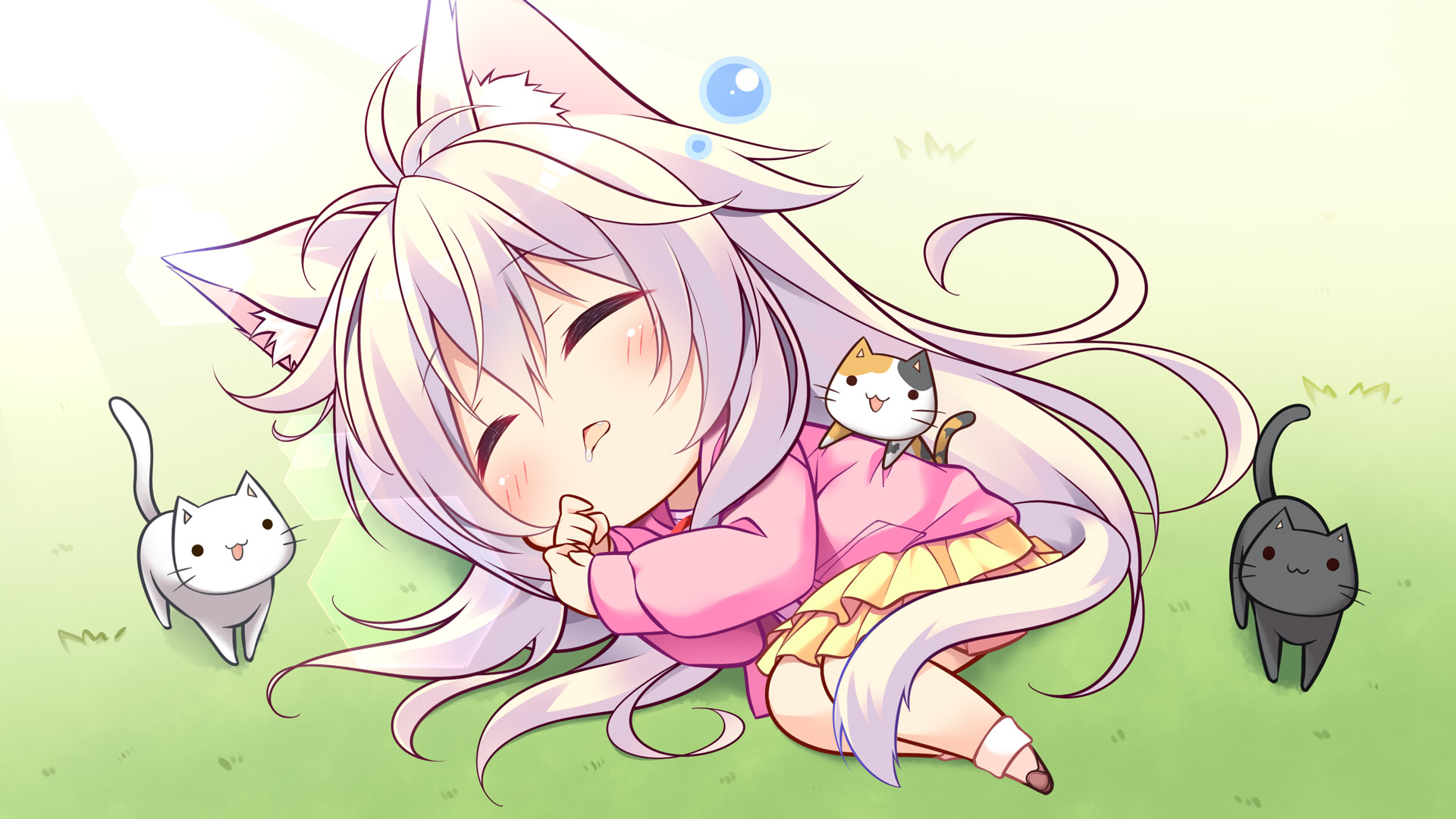 와카바색의 콰르텟