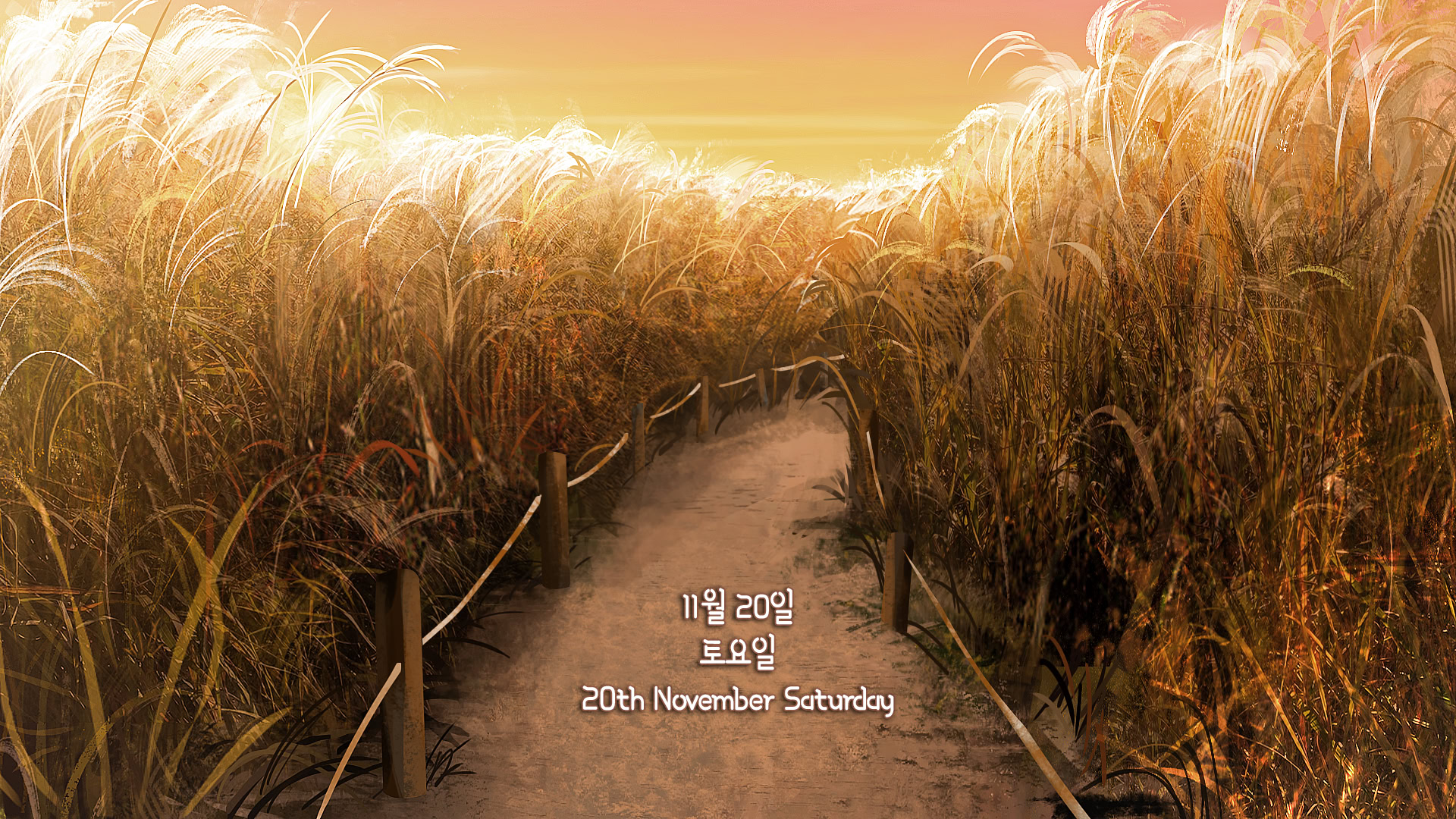 억새밭 사잇길로