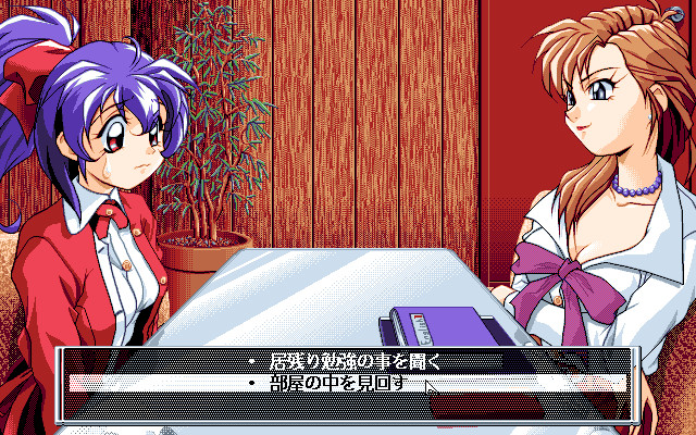 딜리셔스 런치팩