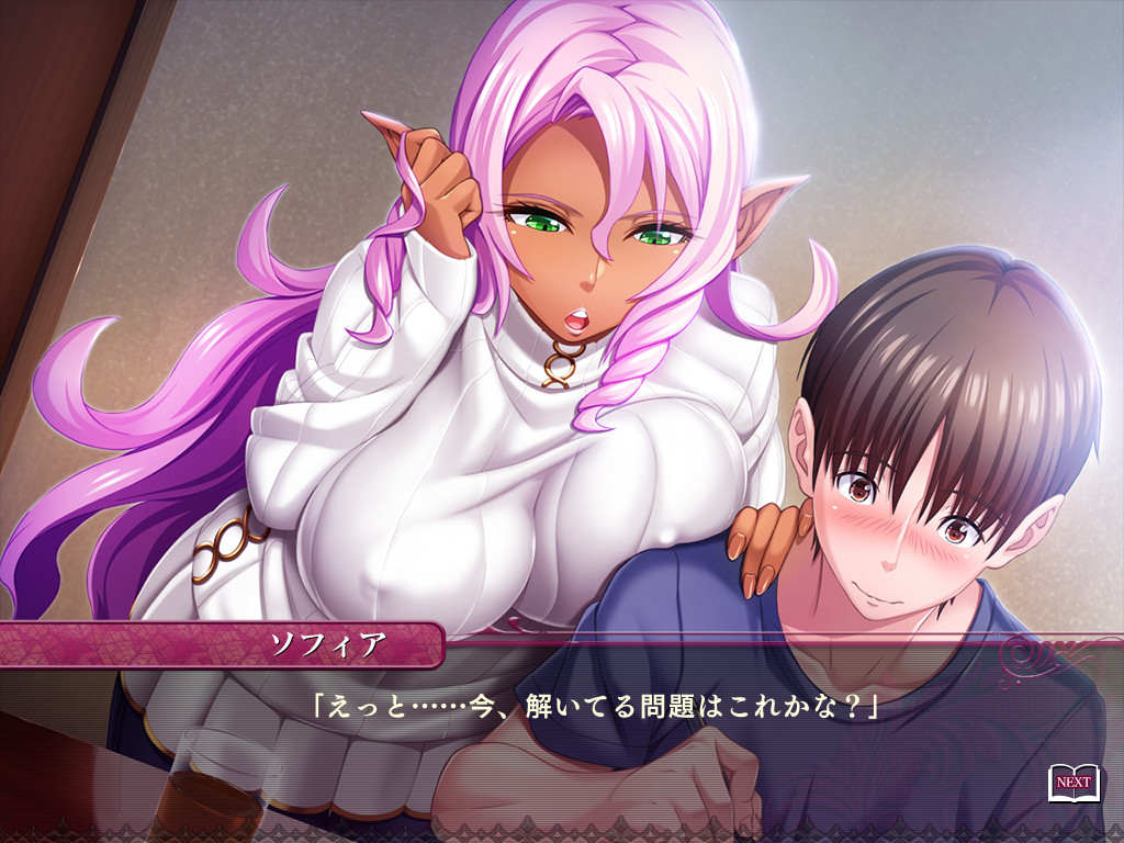 보쿠의 엘프 누나