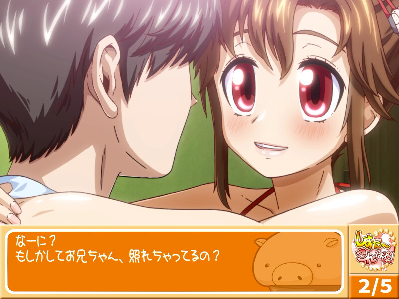 시스콘! -Sister Compact-