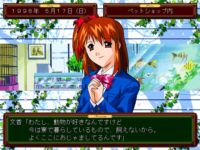 17세 ~My Dear Angel~