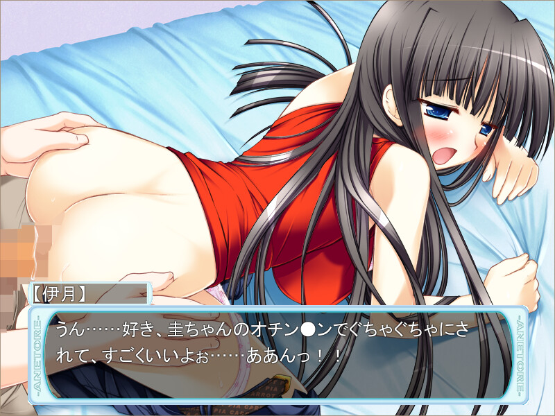 아네토레! ～누나와 H한 트레이닝～