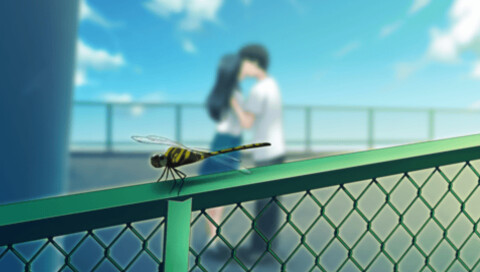 세컨드 노벨 ～그녀의 여름, 15분의 기억～