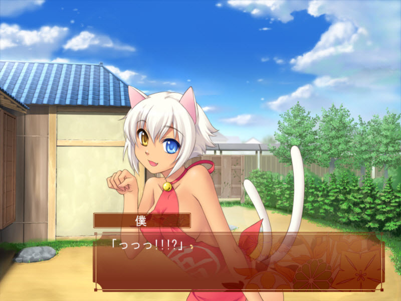 코이부미 로맨티카