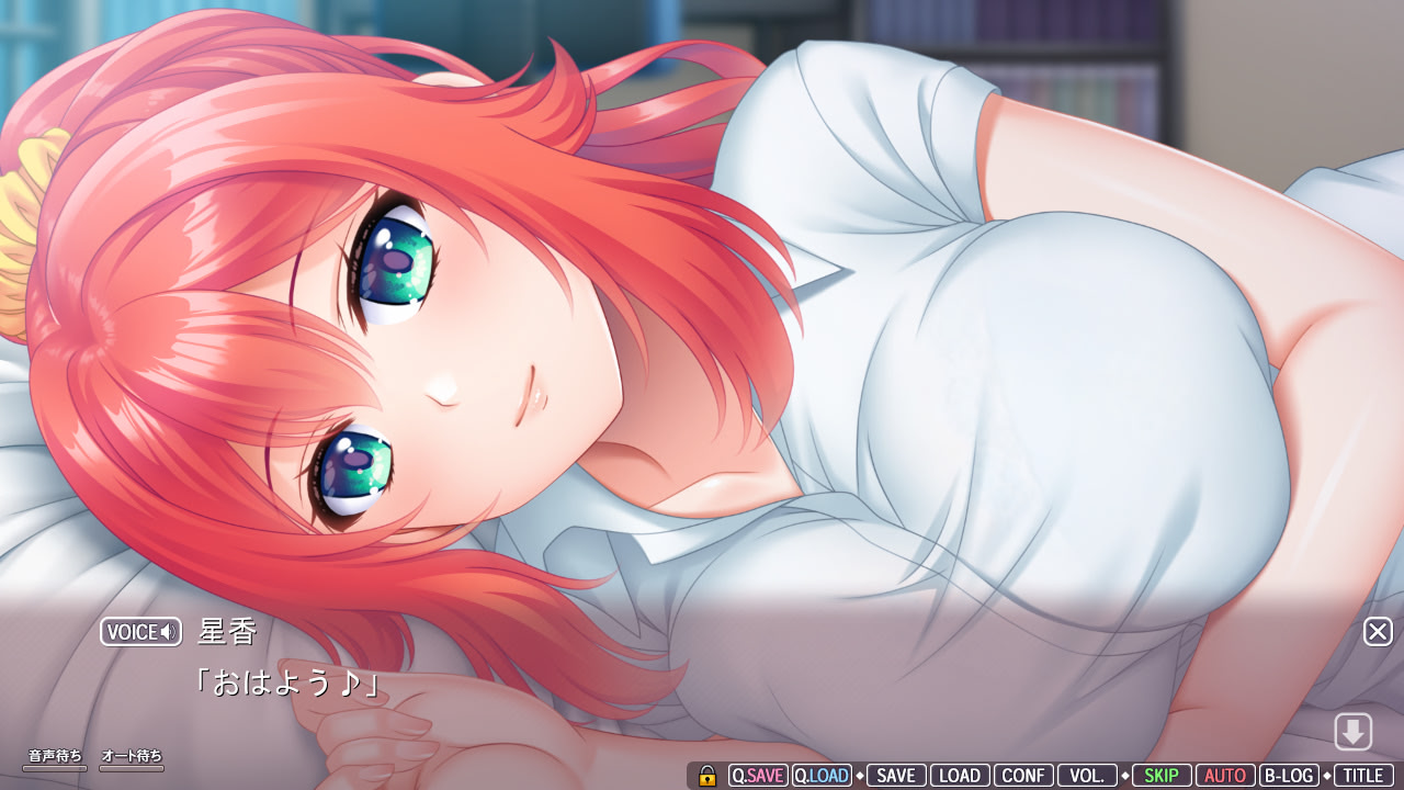 오네쨩의 아마에로 레슨 2 ～옆집 거유 누나에게 잔뜩 어리광 부리는 메챠에로 라이프～