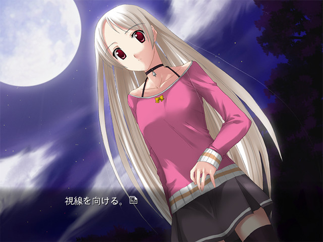 토코요의 별하늘