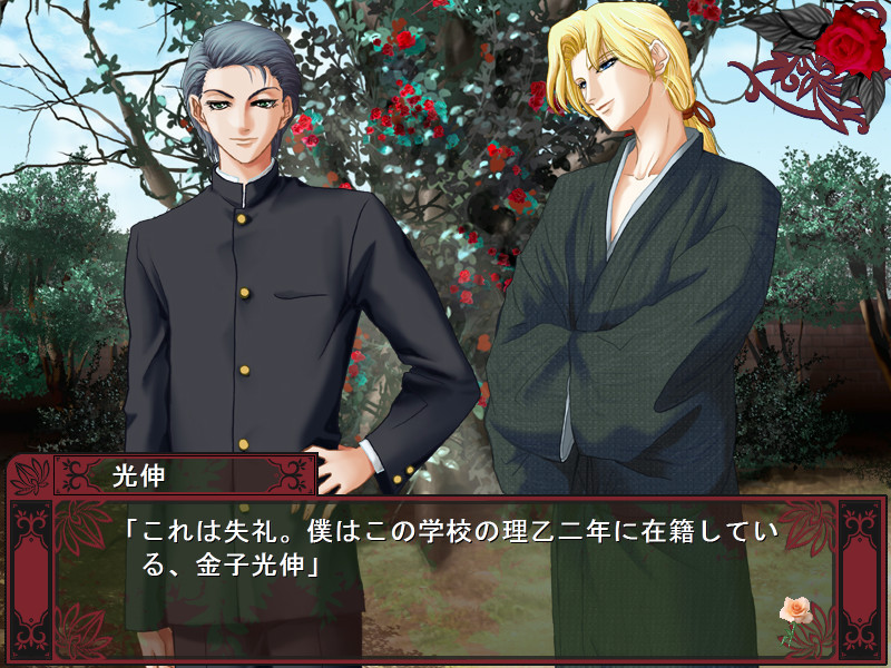 장미 나무에 장미 꽃 피고