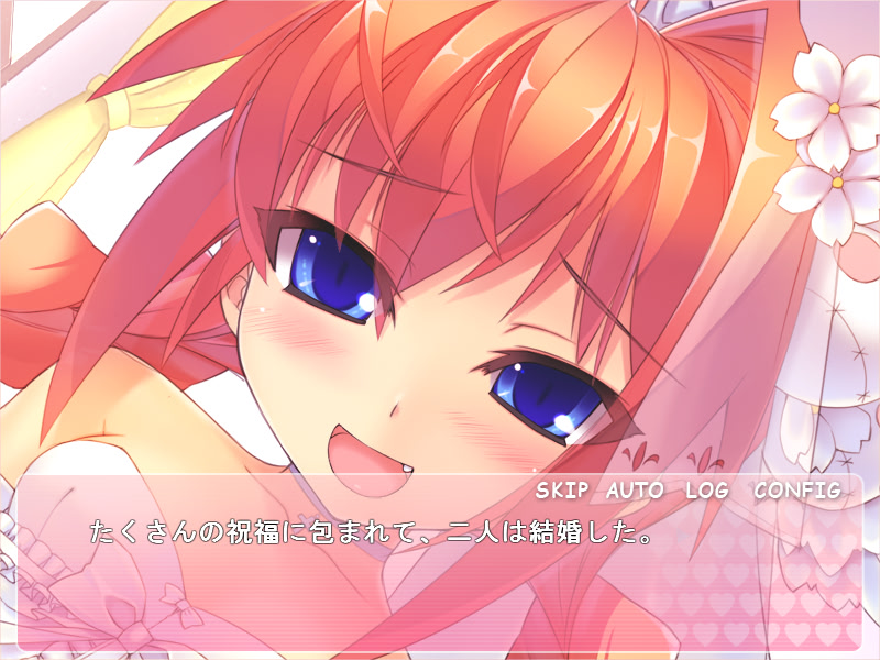 나와 비타와 원룸