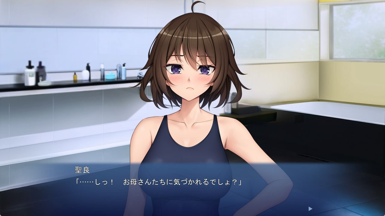 정말 좋아하는 오빠를 함락시키는 법 ～츤츤 여동생은 오빠에게 데레데레였습니다～