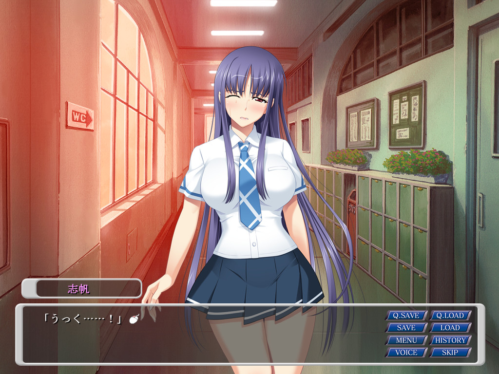 나와 사에코 씨와 NTR 메일