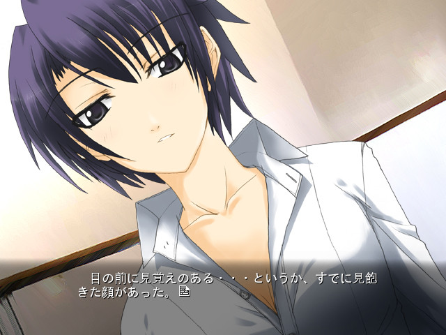 토코요의 별하늘