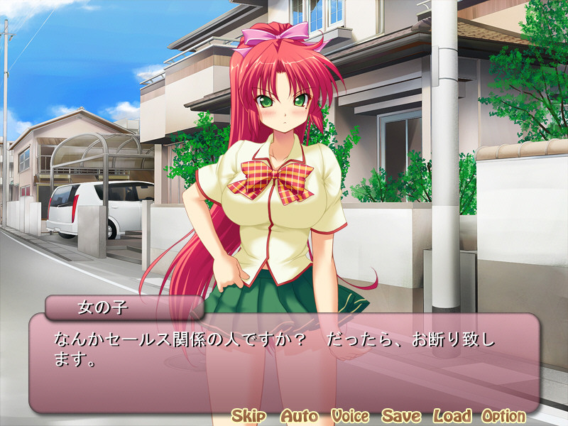 아노 코는 H한 소설가