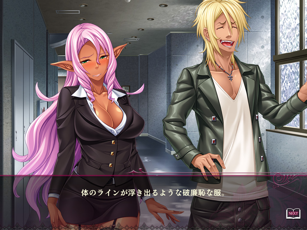 보쿠의 엘프 누나