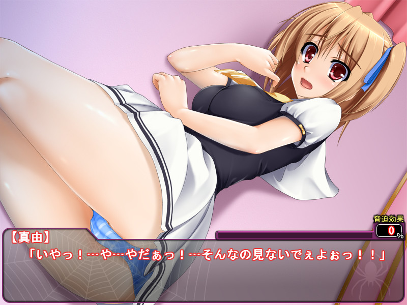 아네토리～수줍은 누나는, 에로스한 나의 성노예～