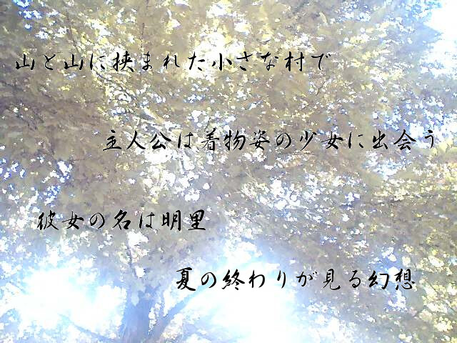 여름의 여운 속에서