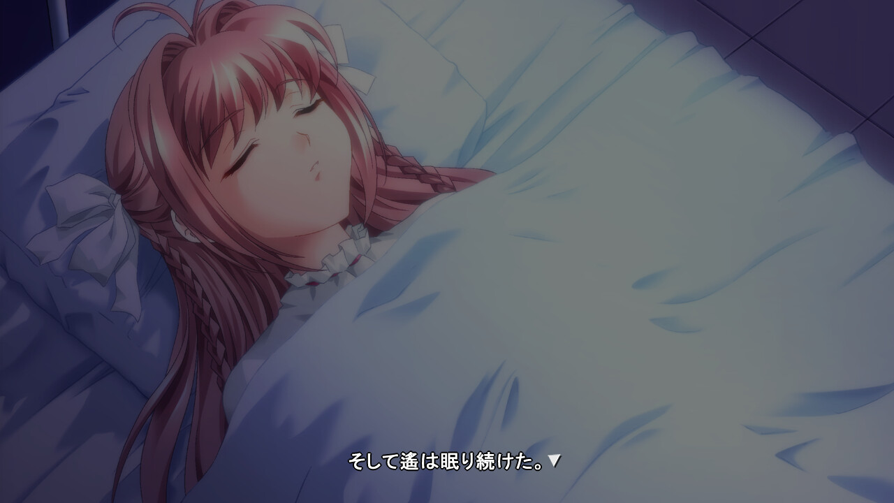 키미가 노조무 진애