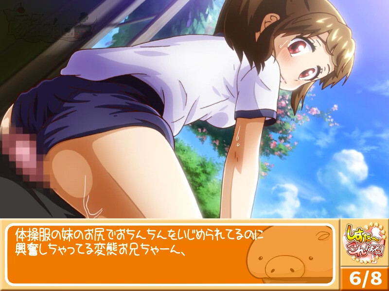 시스콘! -Sister Compact-