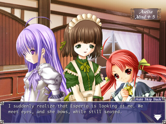 영원한 아세리아 Expansion —The Spirit of Eternity Sword—