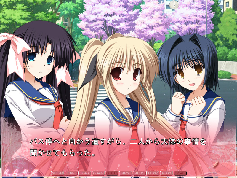 하루이로 사쿠라세