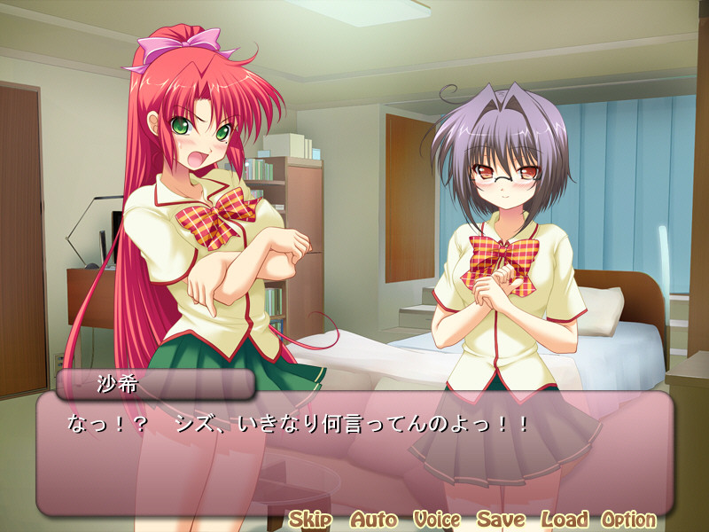 아노 코는 H한 소설가