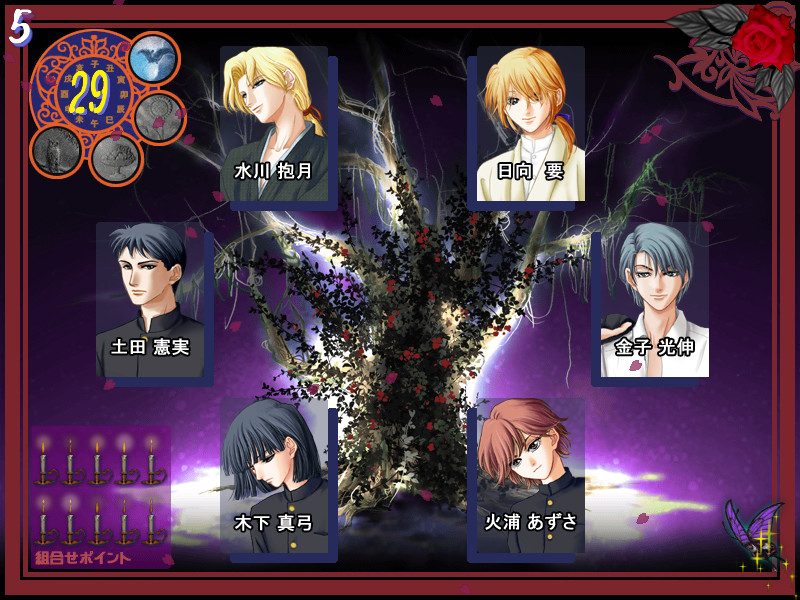 장미 나무에 장미 꽃 피고