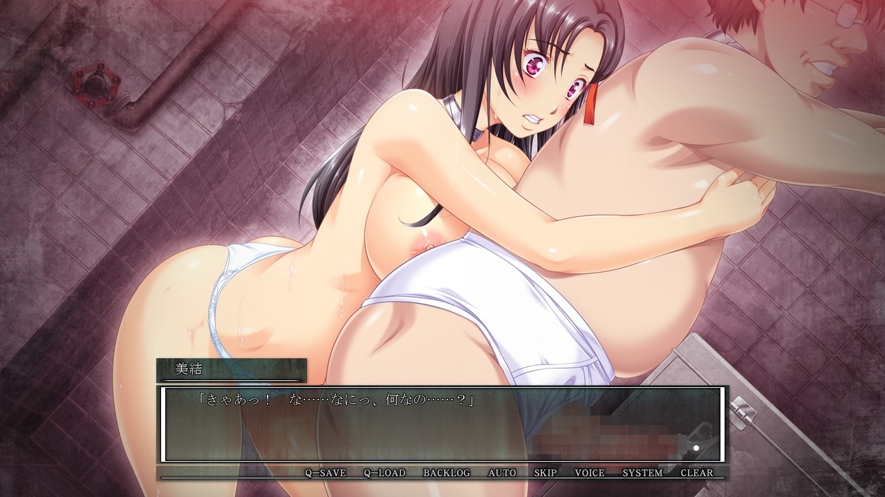 리벤지 룸 ～수태를 강요받는 지하실～