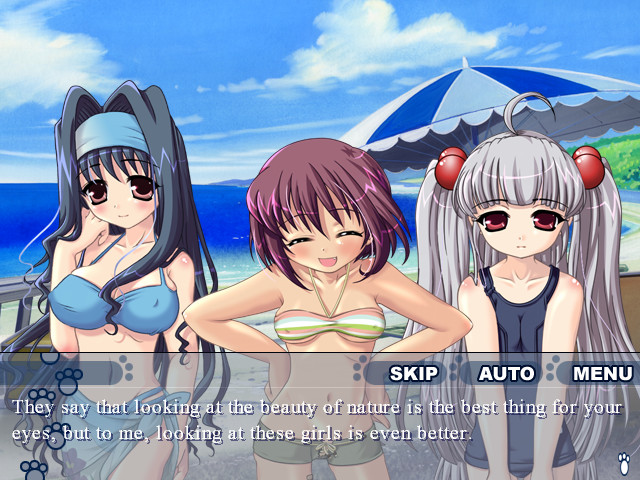 아기 고양이 동맹