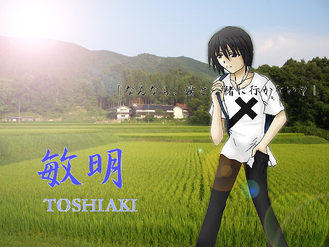 여름의 여운 속에서