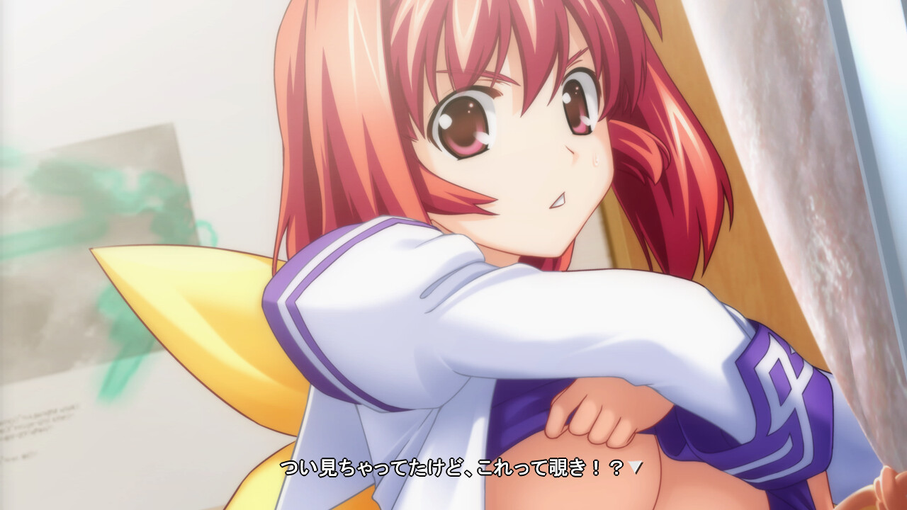 키미가 노조무 진애