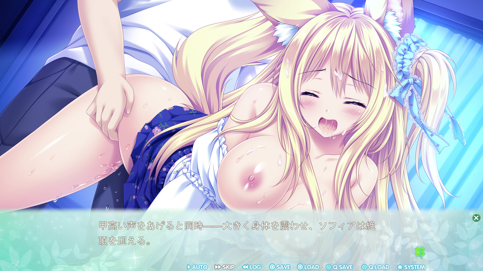 와카바색의 콰르텟