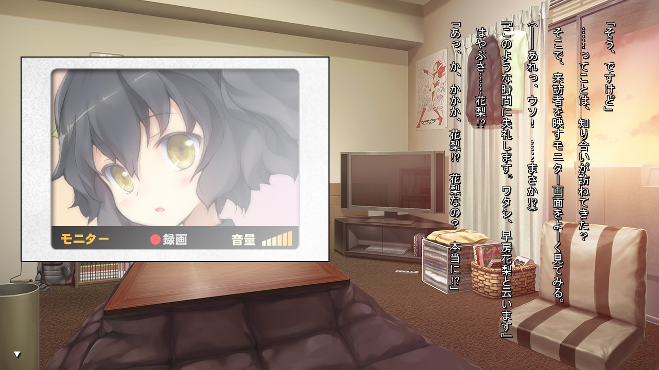 히토리의 퀄리아