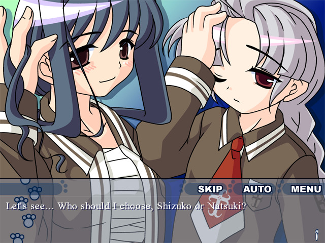 아기 고양이 동맹