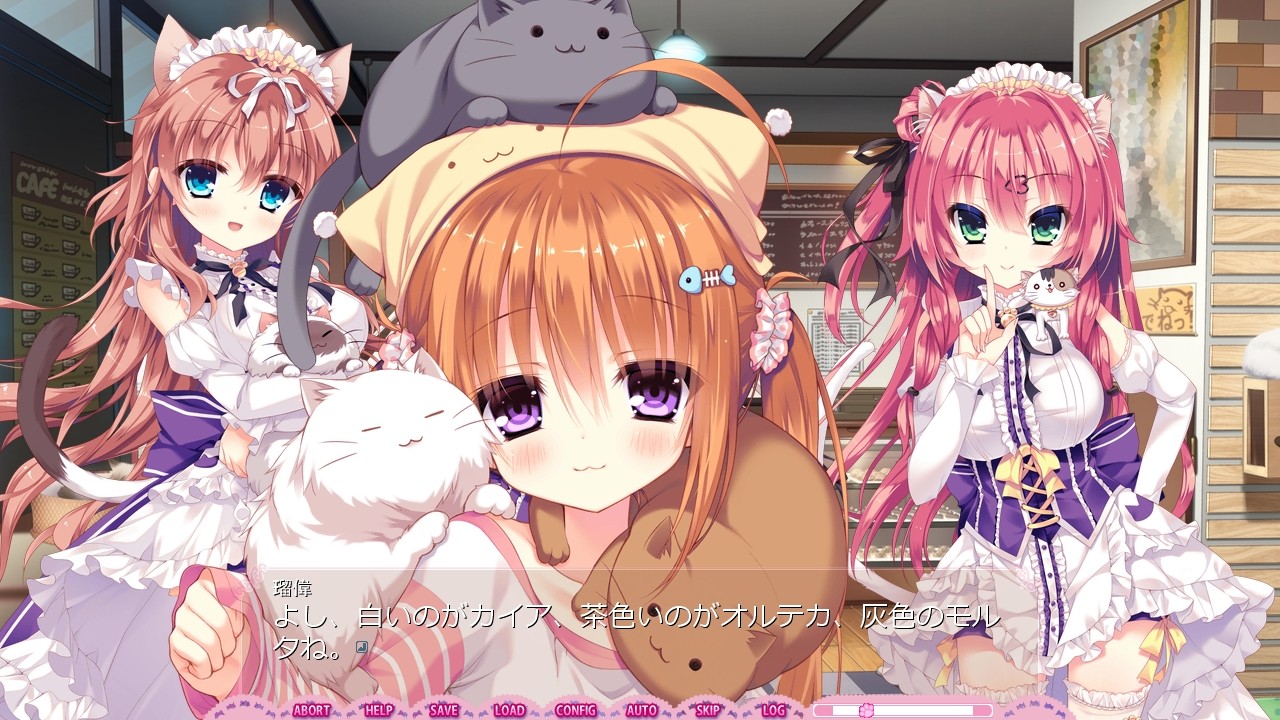 완냥☆아라모드! ～어느 쪽으로 할 거야? 완냥 H한 카페 사정!～