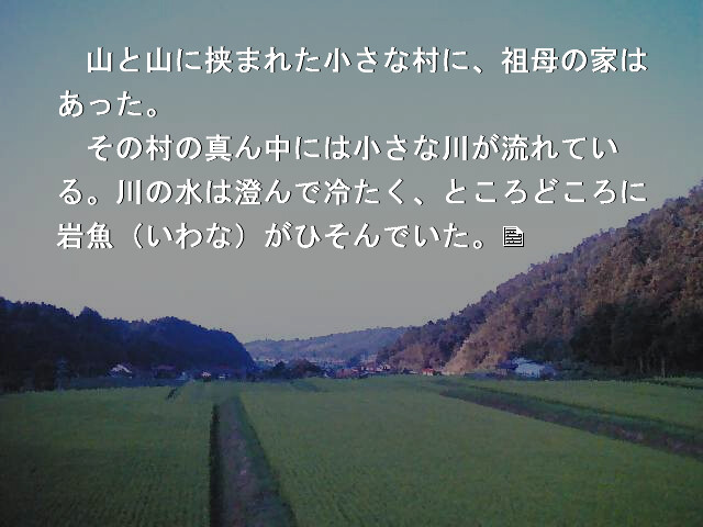 여름의 여운 속에서