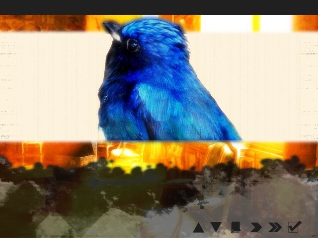 우스니비이로 소라의 코토리