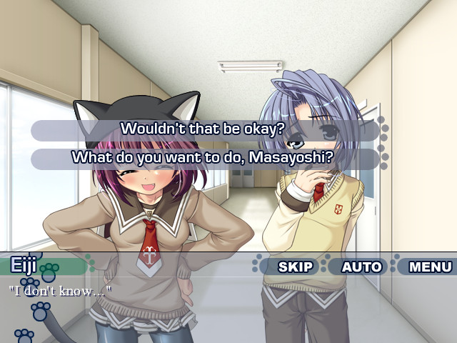 아기 고양이 동맹