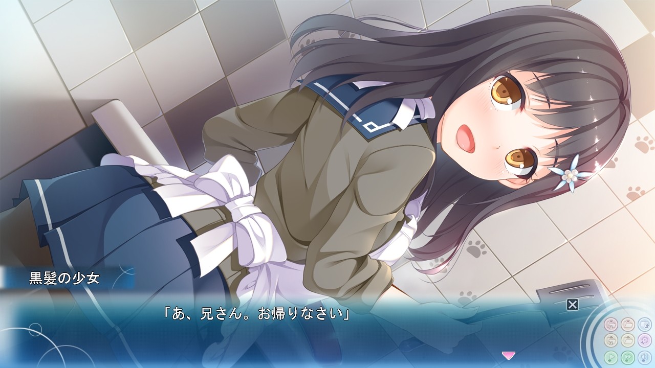 이모토드림! ～우리 여동생은 ××가 되고 싶어 하는 모양이다～