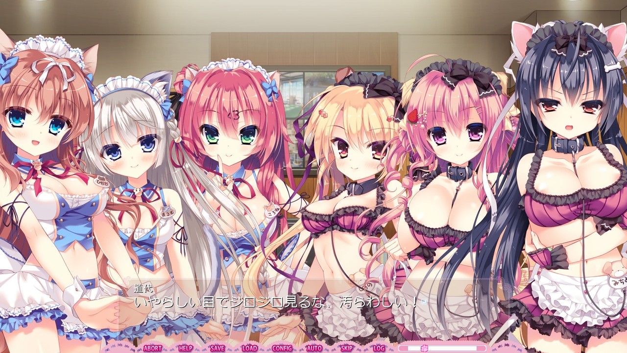 완냥☆아라모드! ～어느 쪽으로 할 거야? 완냥 H한 카페 사정!～