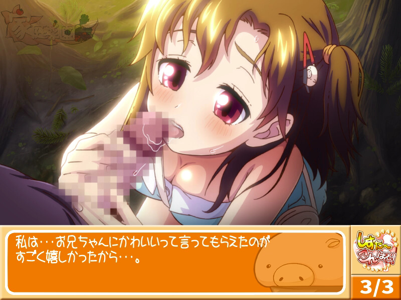 시스콘! -Sister Compact-