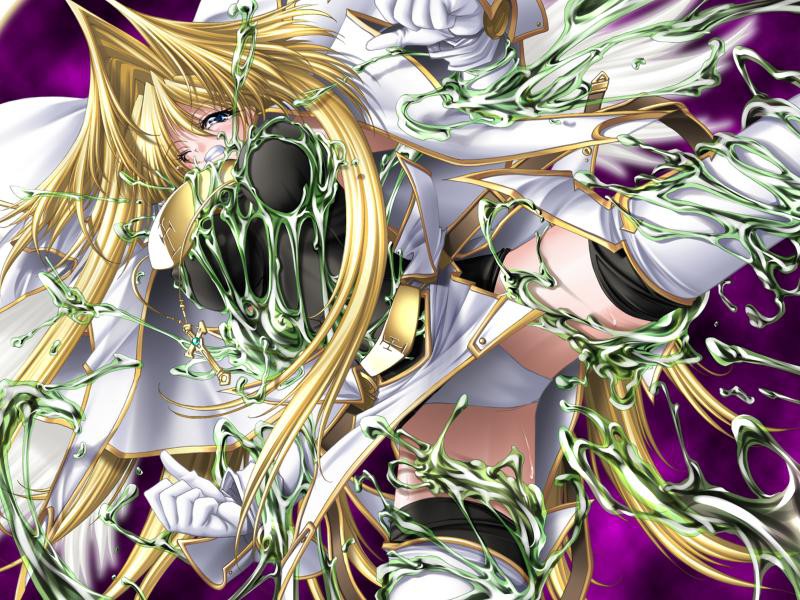 성천사 유미엘 Shadow Crusade